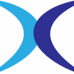 x icon in two color